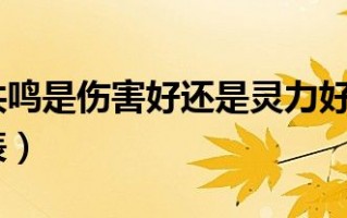  问道装备共鸣是什么意思,问道共鸣石是干什么的？