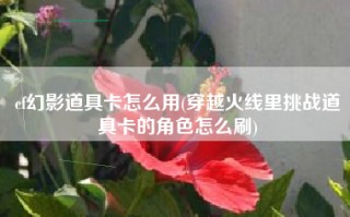  穿越火线卡装备,cf角色道具卡怎么得？